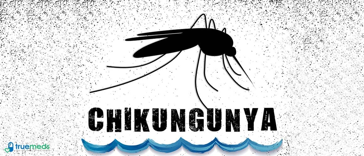 Chikungunya Virus- What Do You Need To Know?