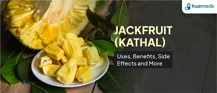 Jackfruit (Kathal): Uses, Benefits, and Side Effects